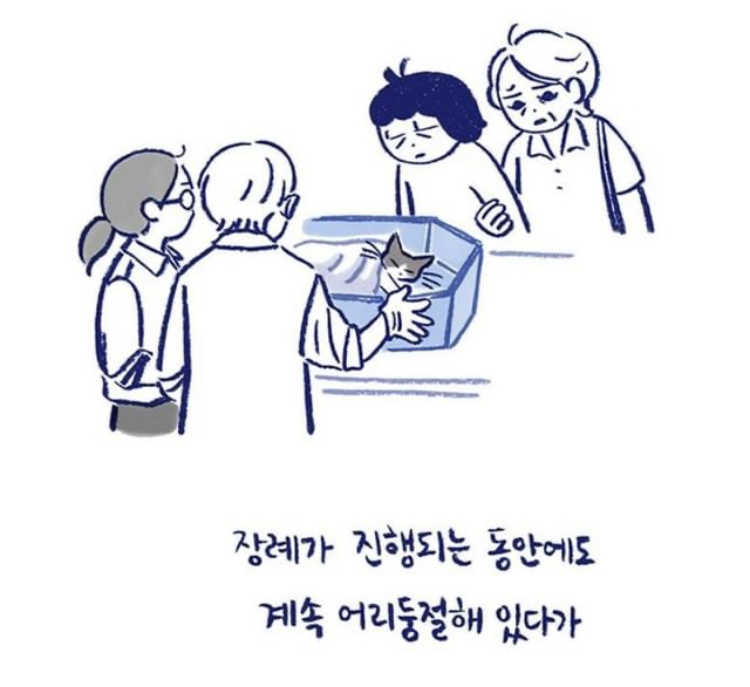 반려동물을 떠나보낸다는 것 | 인스티즈