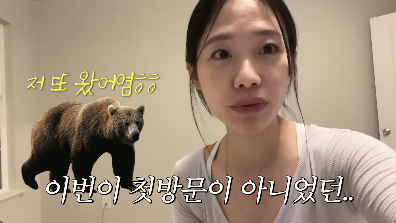 미국 이민갔는데 집에서 곰 나옴… | 인스티즈