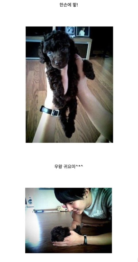 SS501 김형준 개사기 사건 + 현재 | 인스티즈