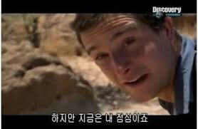 스컹크의 냄새는 방귀가 원인이 아니다 | 인스티즈