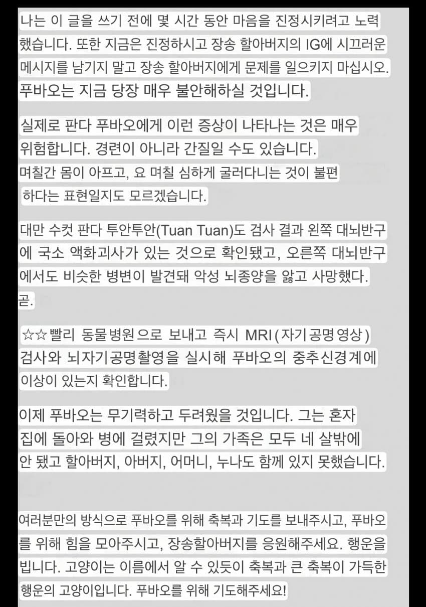 푸바오 경련 증상, 간질(뇌전증) 의심 | 인스티즈