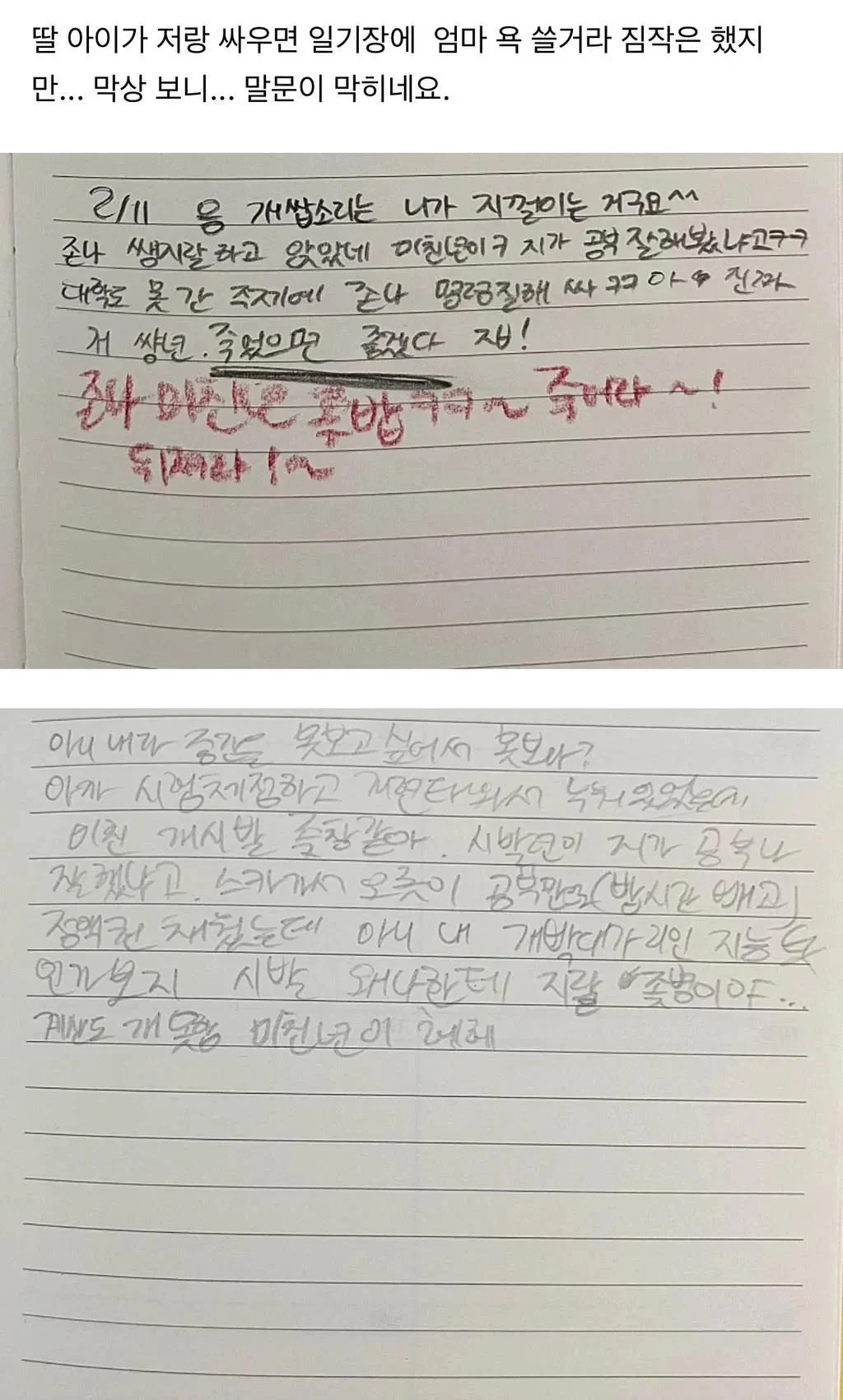 일기장에 엄마 쌍욕 써놓은 딸 | 인스티즈