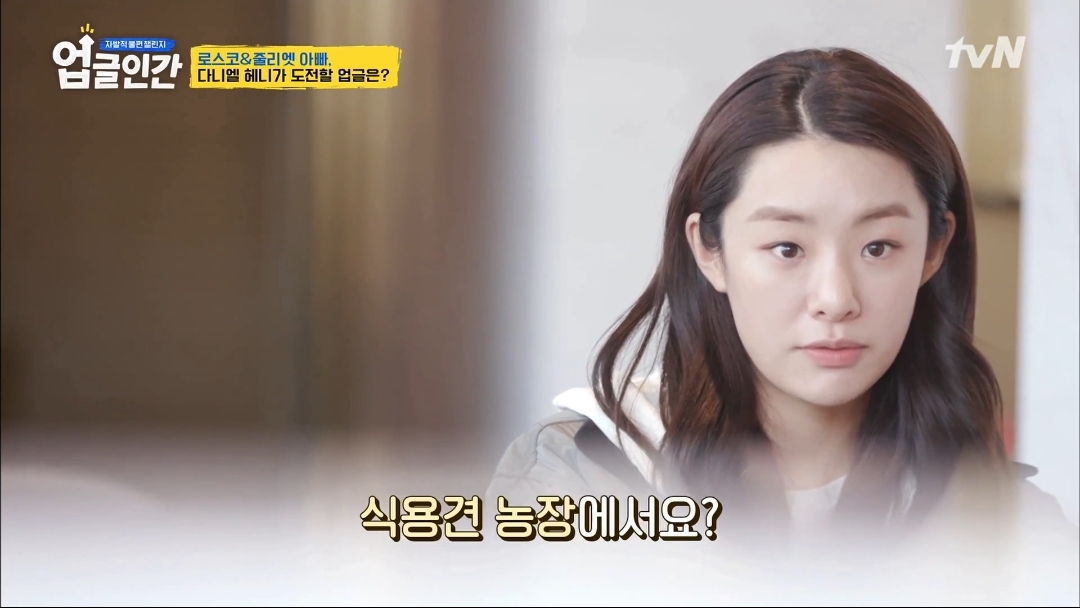 식용견 농장에서 구출된 다니엘 헤니의 강아지 로스코, 줄리엣 | 인스티즈