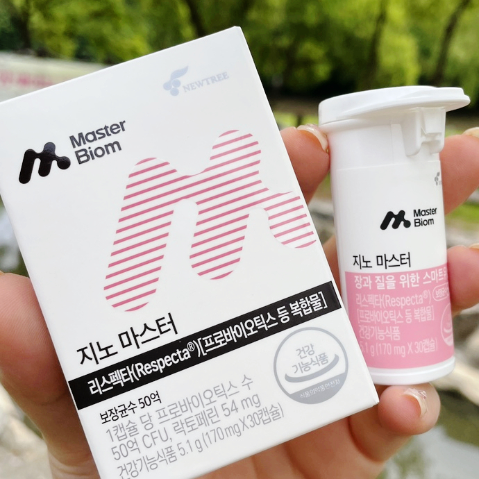 지노 이미지