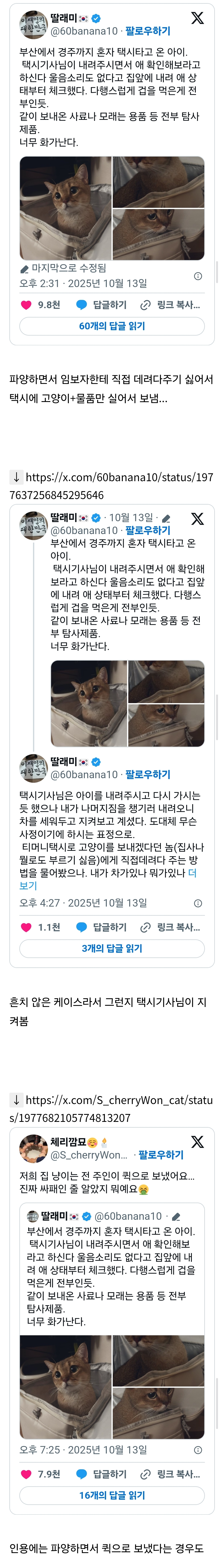 부산에서 경주까지 혼자 택시 타고 온 고양이 | 인스티즈