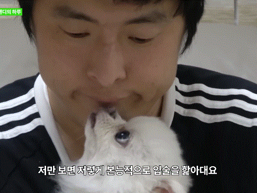 강아지가 핥을때 혀 내주는 기안84.gif | 인스티즈