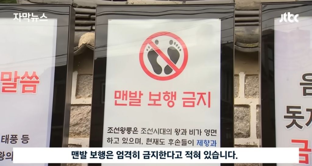 경고문도 무시하고 맨발걷기 하는 사람들 | 인스티즈