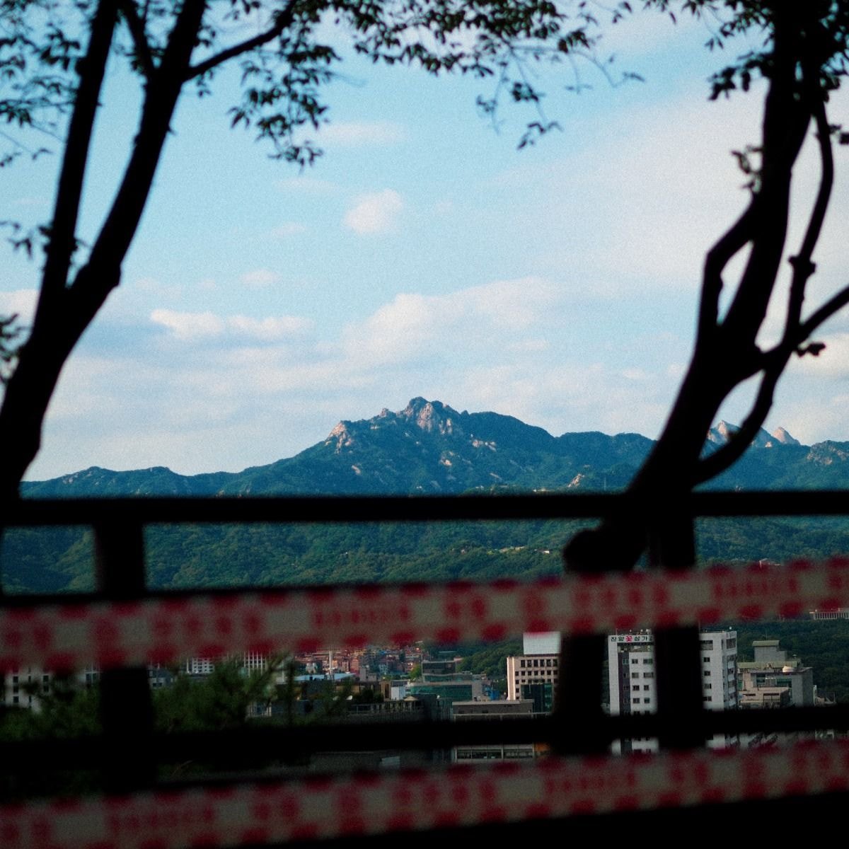 조울증 환자가 산책하면서 찍고 다닌 사진들 | 인스티즈