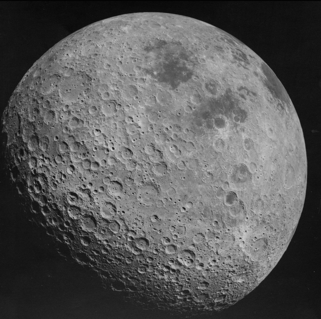 미국 조별과제 역사상 가장 억울할 사람👩‍🚀 | 인스티즈