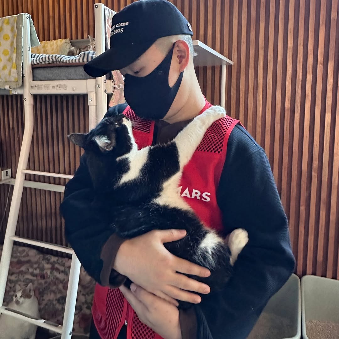 유기묘 보호소에 간식+사료 기부한 나폴리 맛피아 | 인스티즈