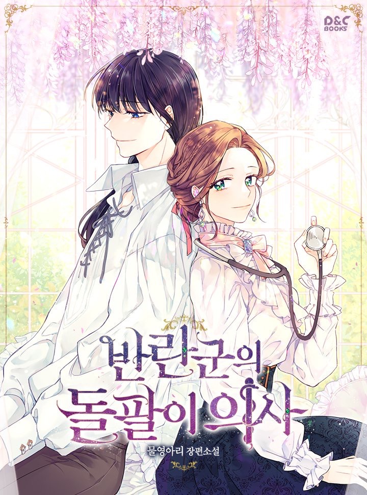 ㄹㅍ) 로맨스 판타지 표지 일러스트레이터(11) - 지나가던 사람 | 인스티즈