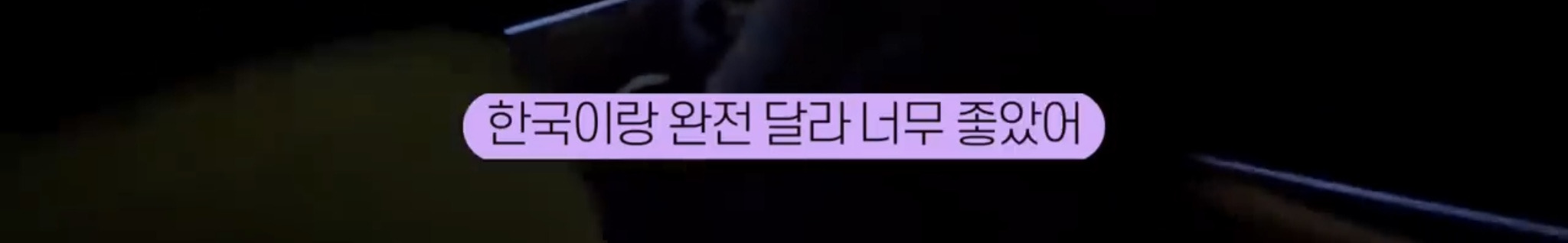 휠체어를 써야하는 유투버가 외국 여행을 가서 느낀 점 | 인스티즈