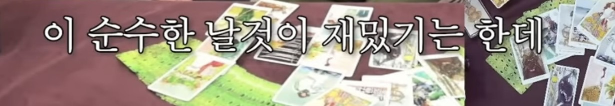 흥미로운 지락실3 운명 타로 | 인스티즈