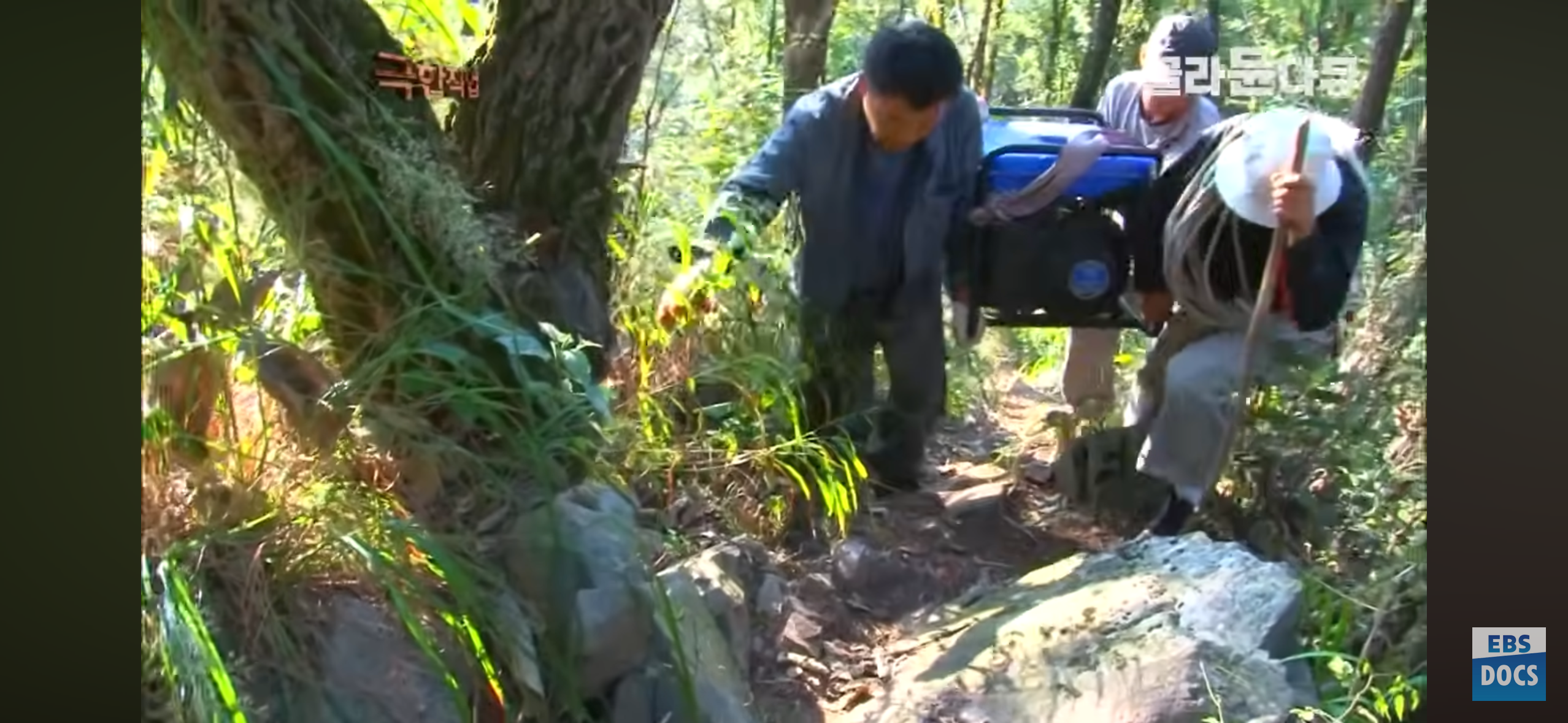 등산로, 어떻게 만들까?.jpg | 인스티즈