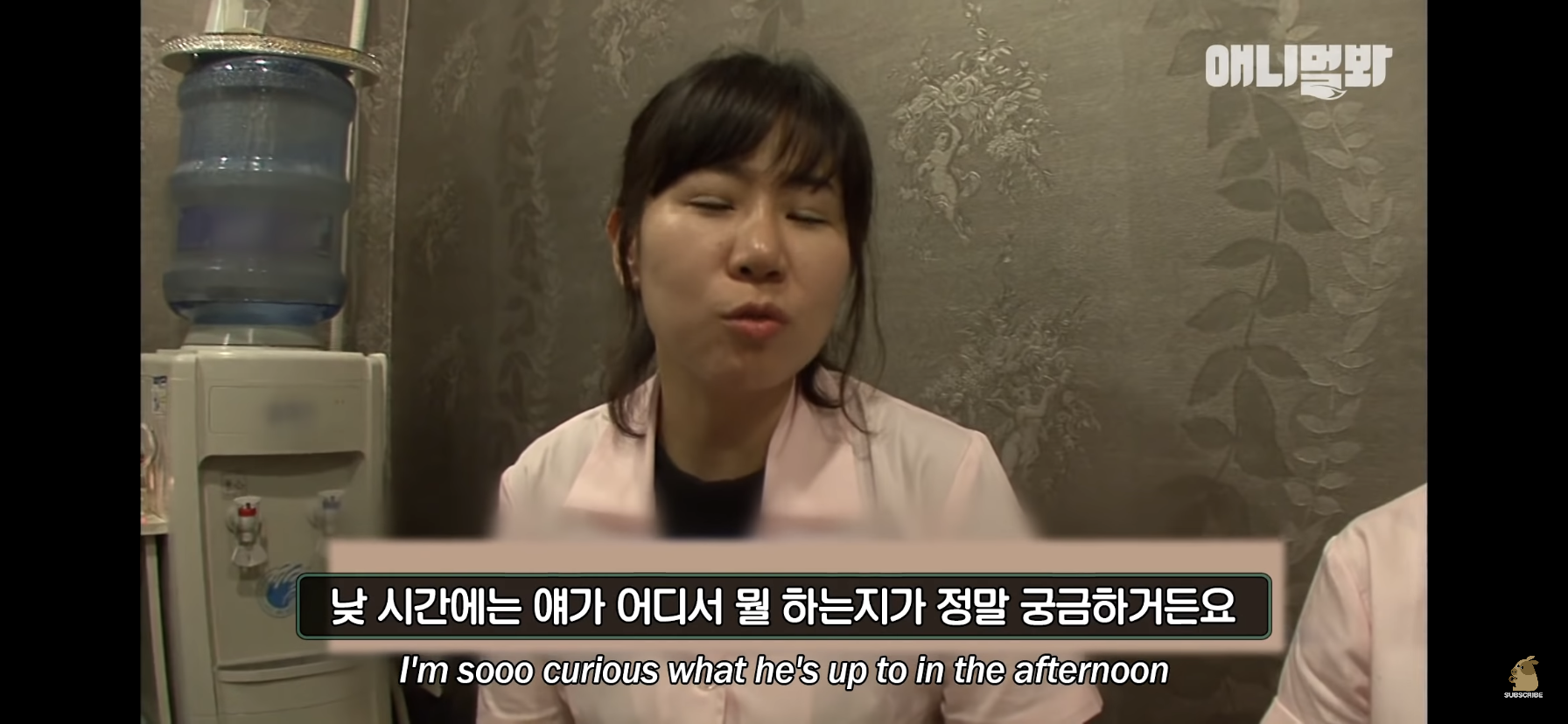 길고양이 목에 쪽지를 달자 생긴 영화같은 일 | 인스티즈