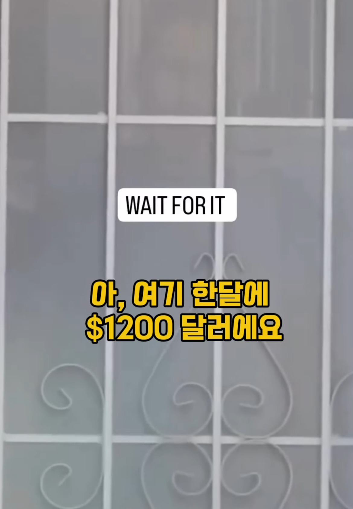 모르는 사람 월세 대신 내주기.jpg | 인스티즈