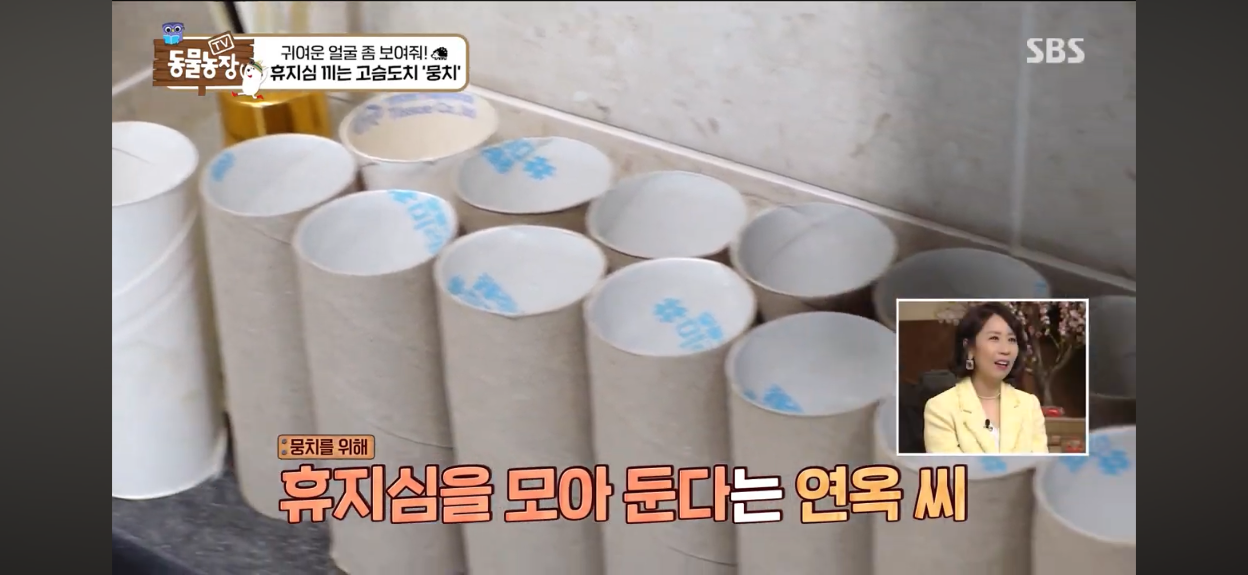 따봉고슴도치 휴지심 좋아도치 | 인스티즈