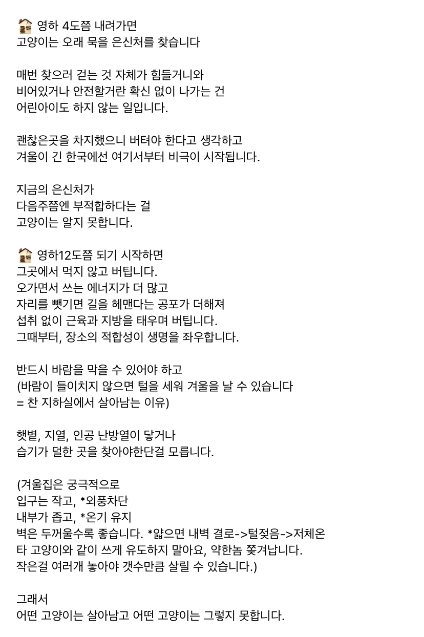 길냥이들 집 어설프게 마련해주면 오히려 죽이게 되는 결말을 맞이한대 | 인스티즈