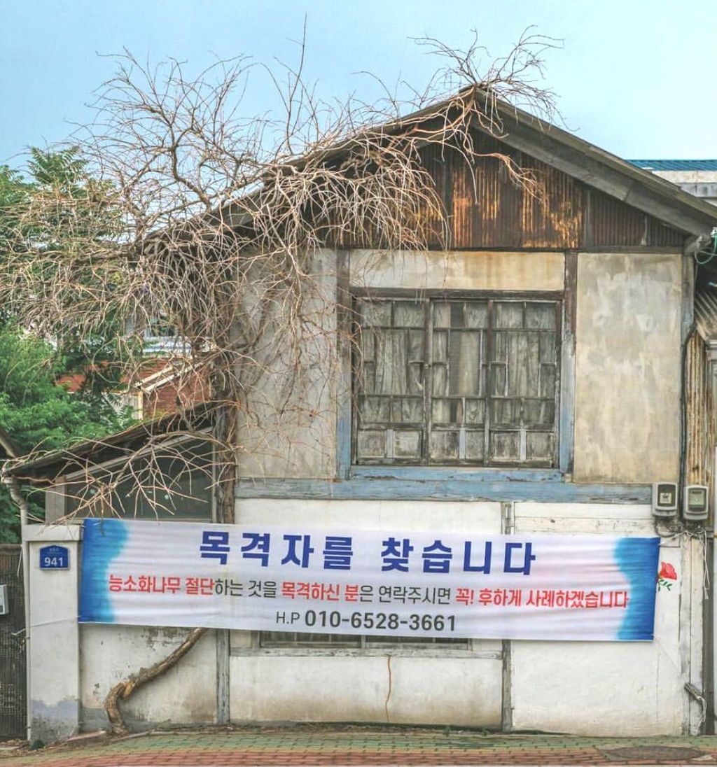 열등감이란 말로는 부족한 괴악한 사회현상.twt | 인스티즈