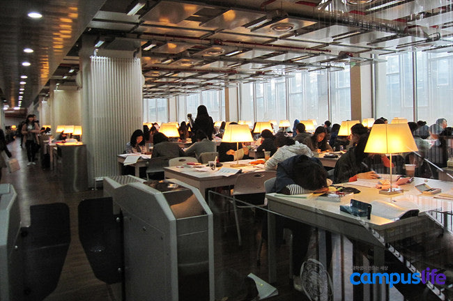 이런 여성타운 생기면 인기 터질 듯.jpg | 인스티즈