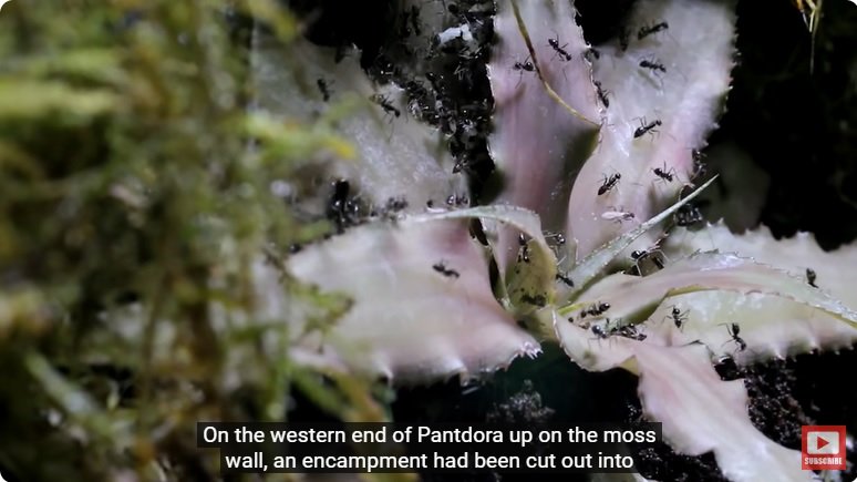 거대한 수조에 열대우림 환경을 조성해놓으면 생기는 일 - 2 | 인스티즈