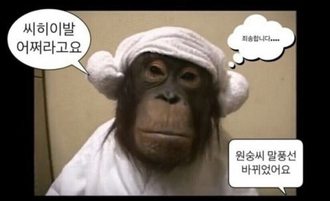 여시상사 이미지