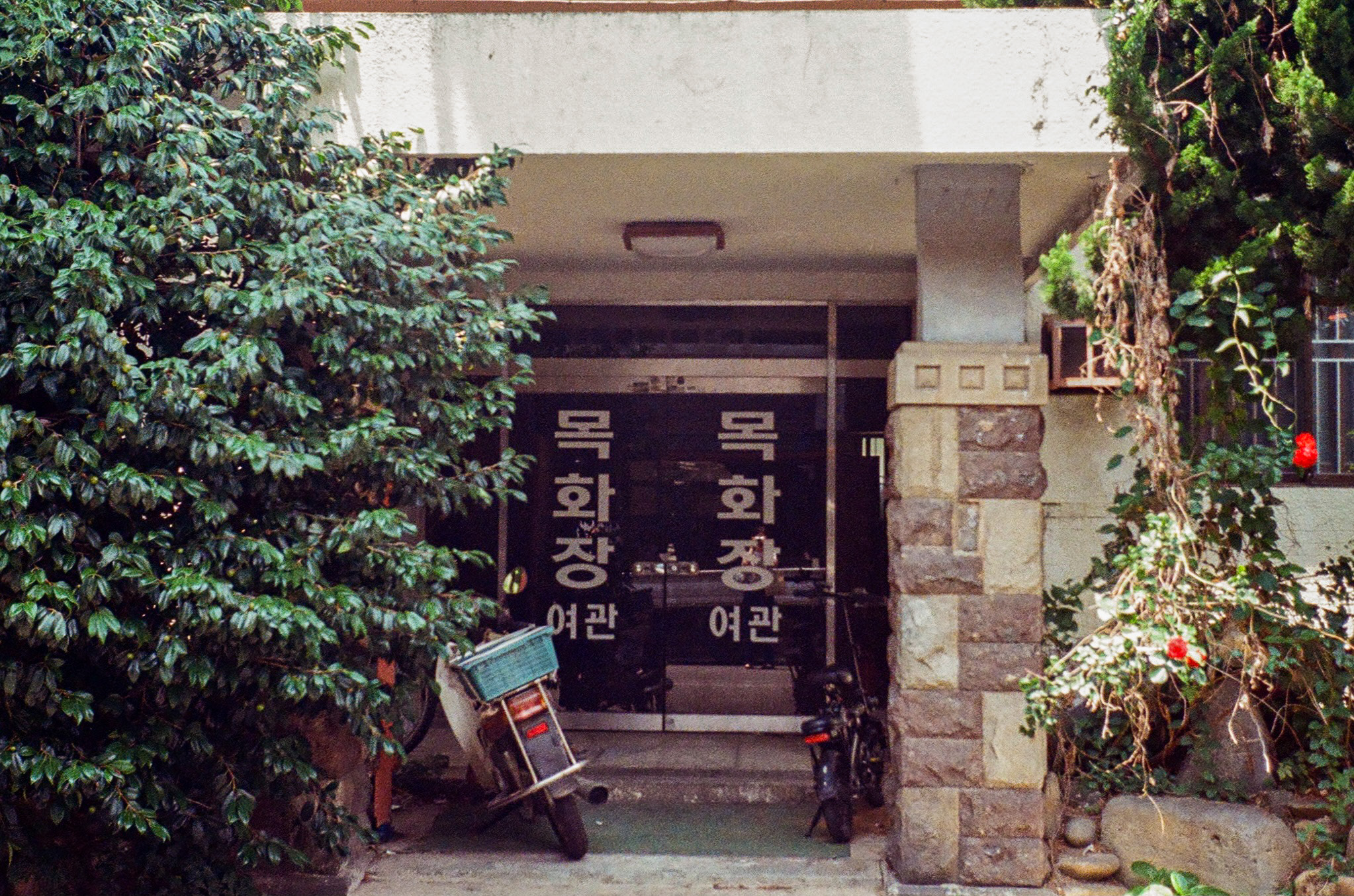 내가 찍은 청량한 한국의 여름 사진들 🪴 | 인스티즈