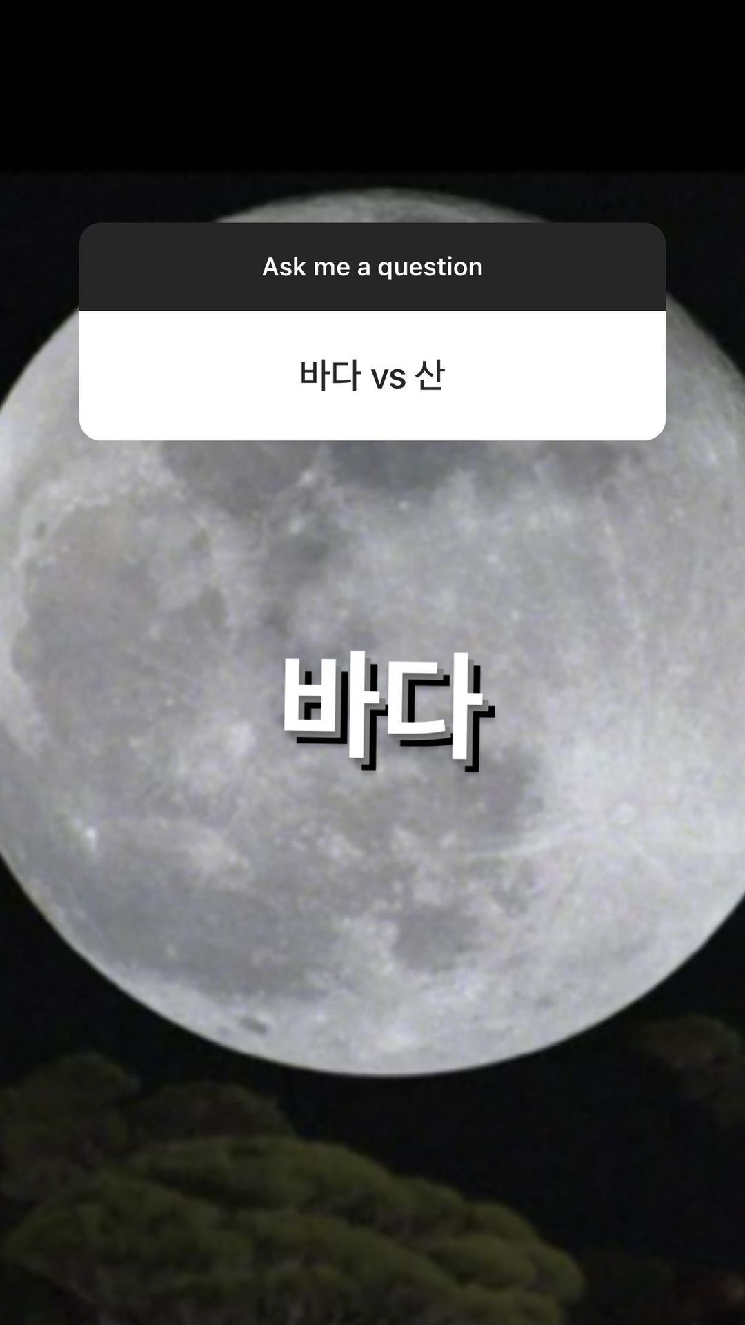 배우 정유미 취향과 tmi 가득한 인스타 무물보 답변 (스압) | 인스티즈