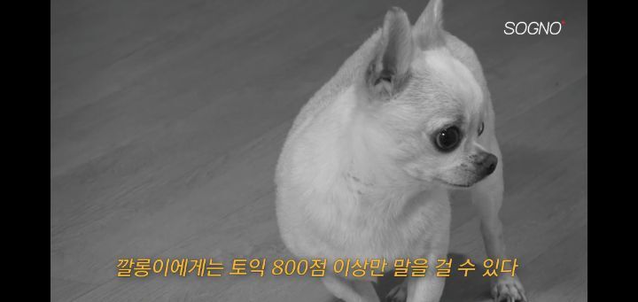 2442490c71bf882abd341fc7e655f5659a599caf