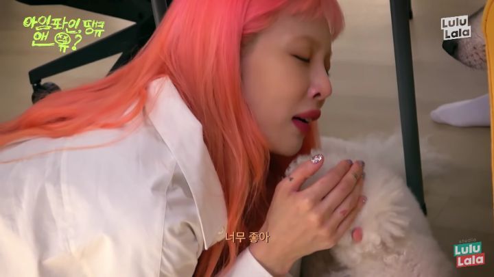 강아지 발꼬순내 좋아하는 현아.jpg | 인스티즈