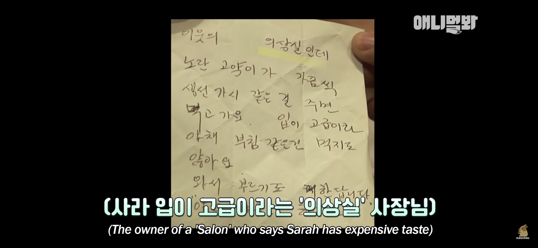 길고양이 목에 쪽지를 달자 생긴 영화같은 일 | 인스티즈