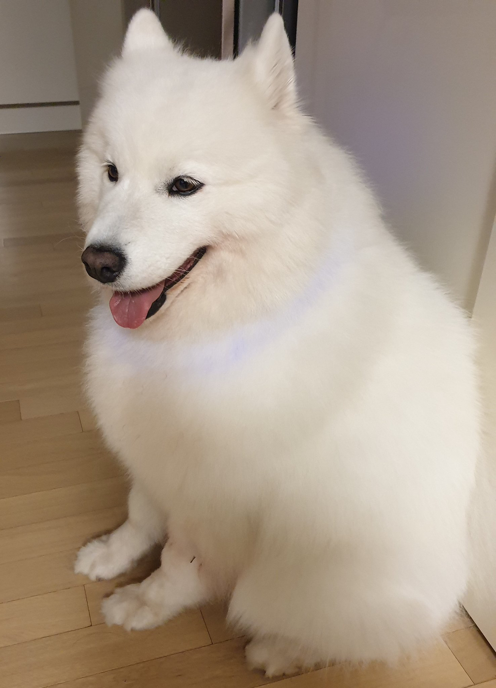 산책 이미지