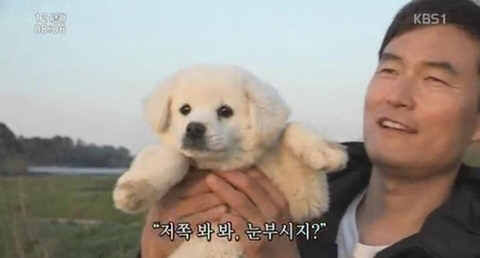 뭔가 이상하게 위로가 되는 짤들.jpg | 인스티즈