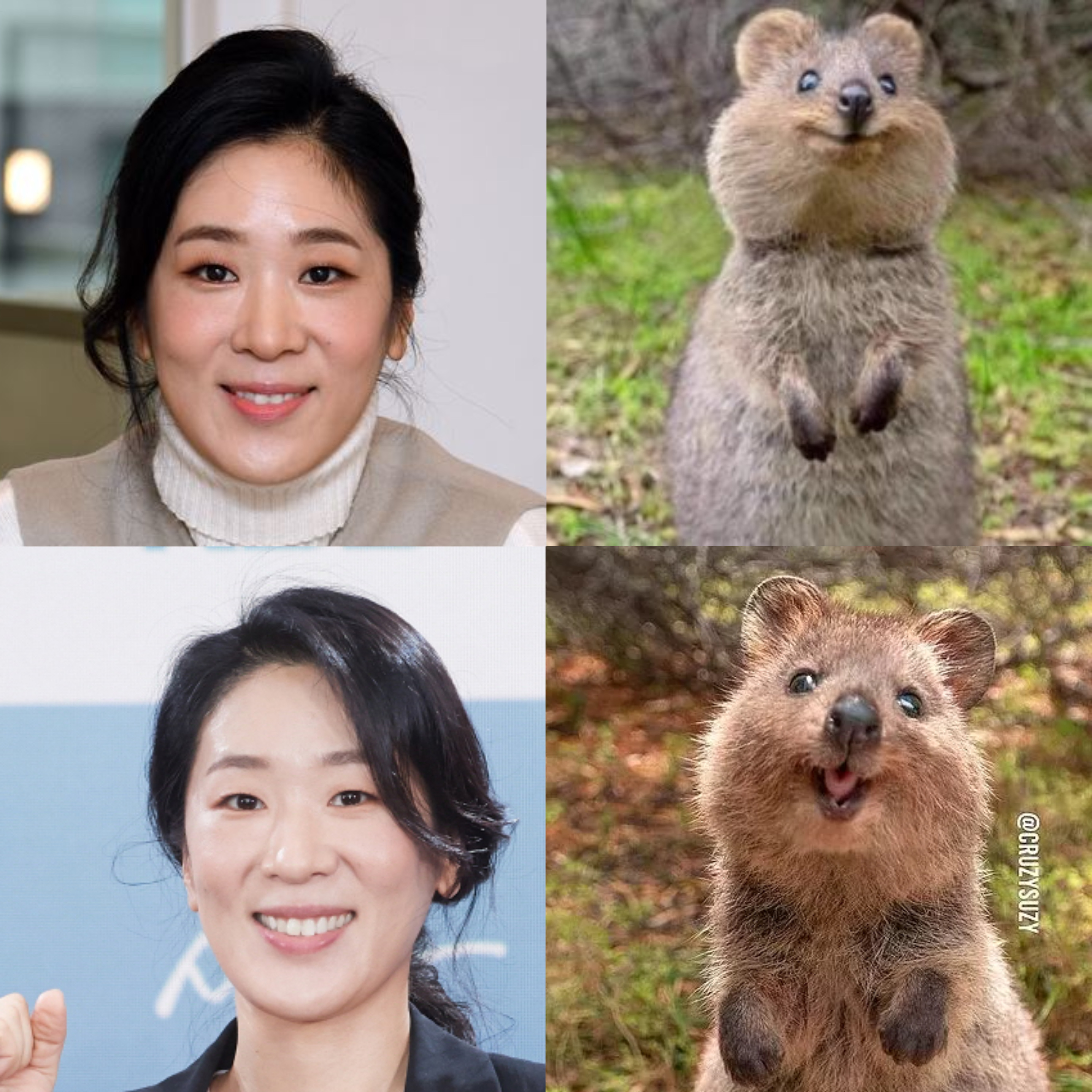 요새 가장 핫한 드라마 이상한 변호사 우영우와 안나 세계관의 중심... | 인스티즈