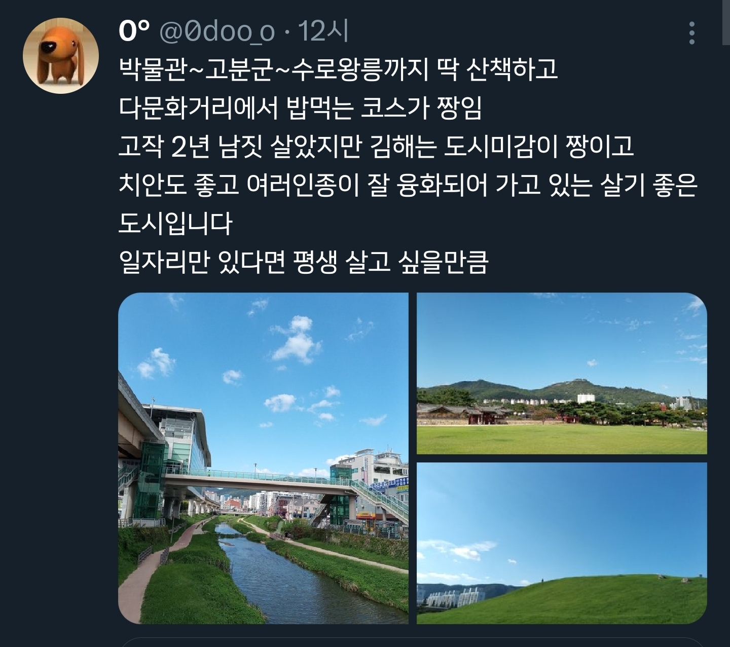 트위터에서 뜻밖의 붐업알티되고 있는 김해시.twt | 인스티즈