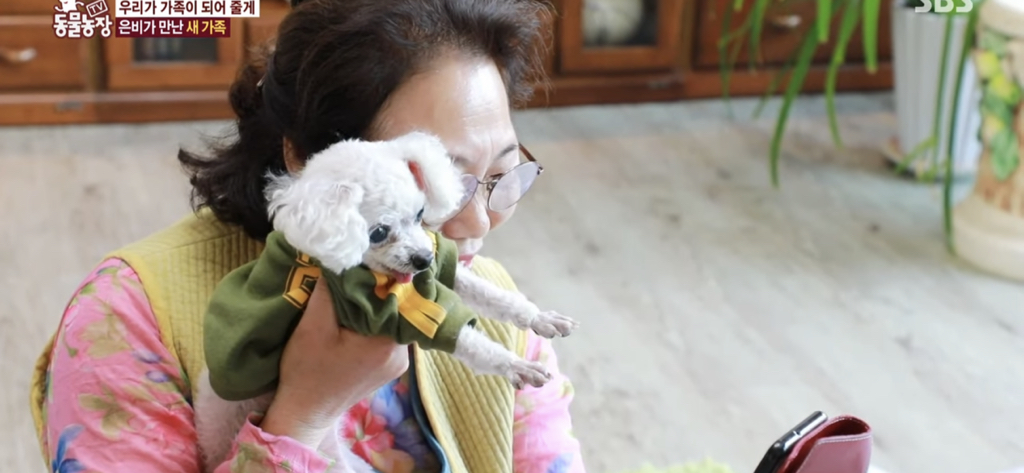 서로를 위해 헤어지는 할머니와 은비 | 인스티즈