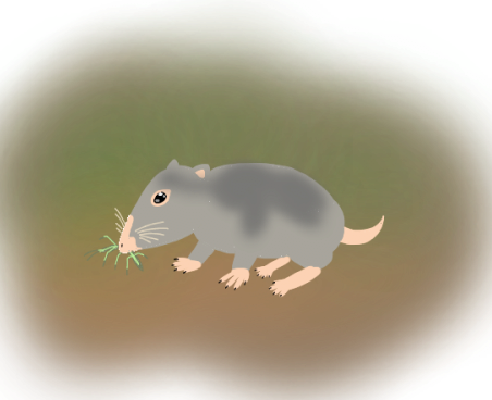 햄스터가 외계행성의 지배자가된 세계관 | 인스티즈