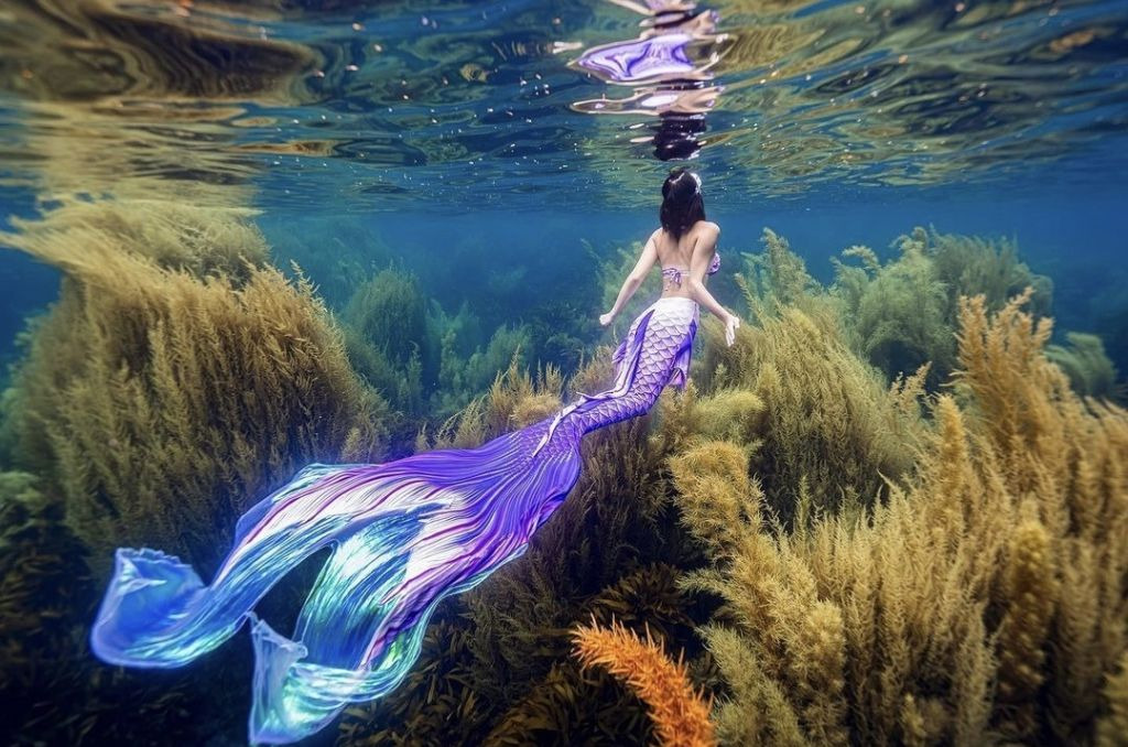 프리다이빙 배우고 넘어간다는 취미 머메이드 다이빙 | 인스티즈