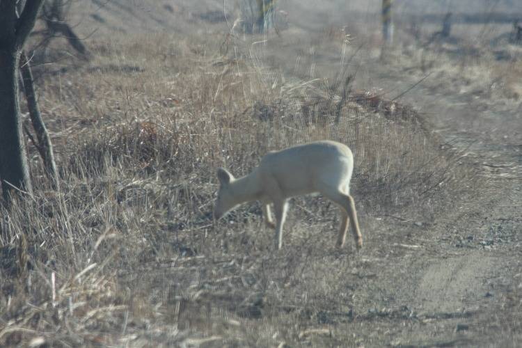 2581a027802ef857565f3c8e431f3b9c26b0ba98