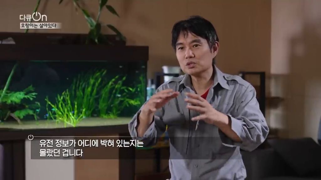 '절멸'의 '한국 호랑이'. 🐅 그 100년간의 이야기. -마지막- | 인스티즈