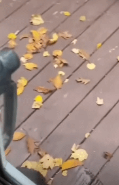 259cfd2a8387df66ae0be3684b52e7a8274e583c