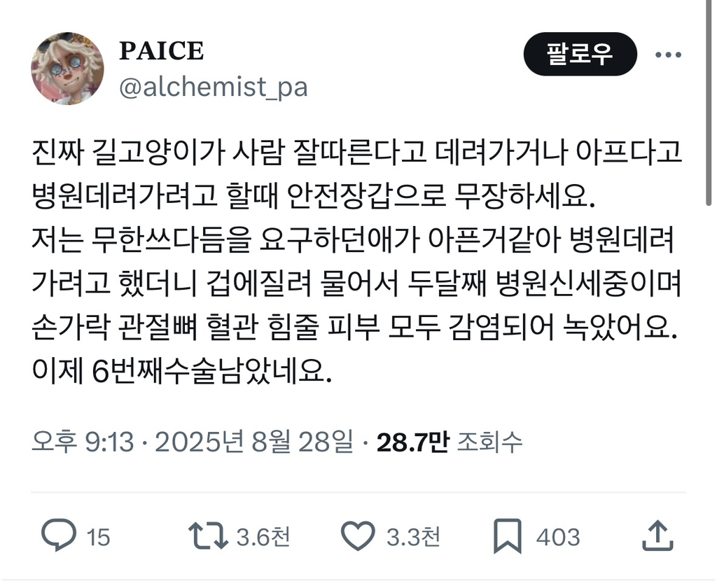 길냥이 병원 데려가려면 무장하세요 | 인스티즈