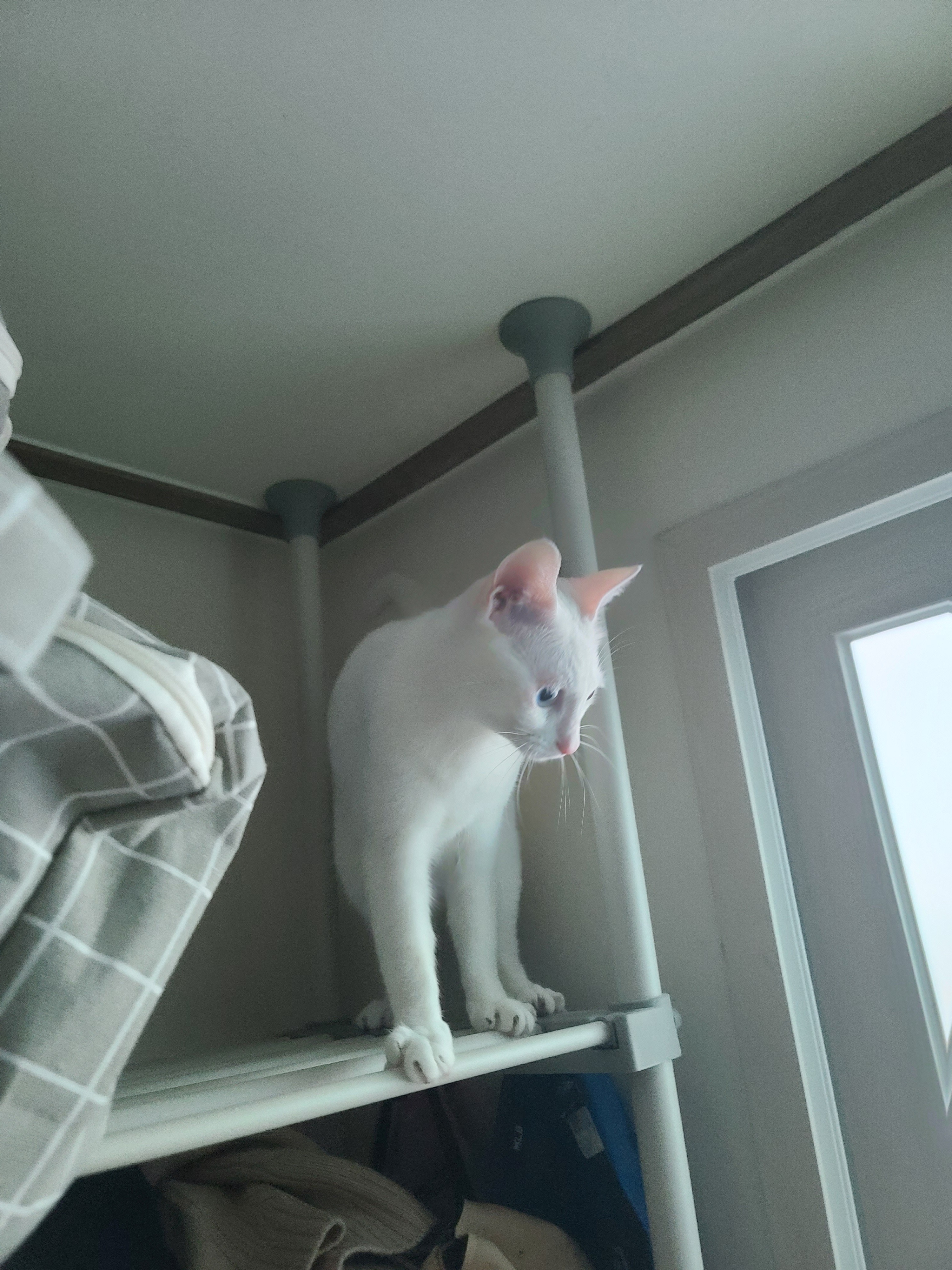 가... | 인스티즈