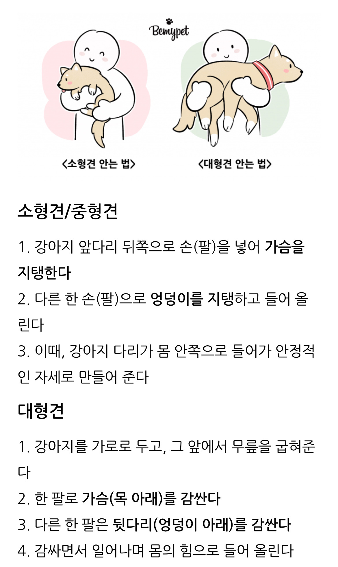 이재명 김문수로 보는 올바르게 강아지 안는 방법 | 인스티즈