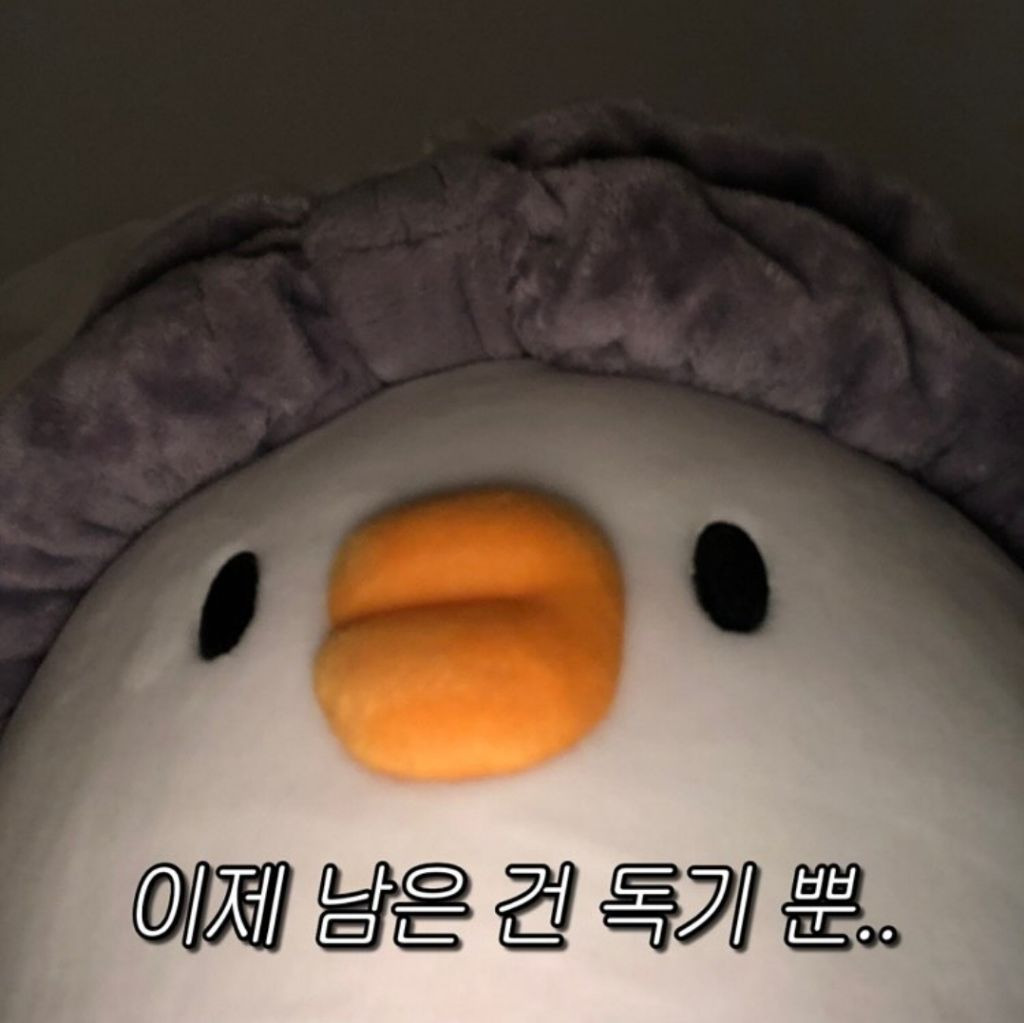 요즘 계속 말나오는 쓰레기 단속 오늘 근황.jpg | 인스티즈