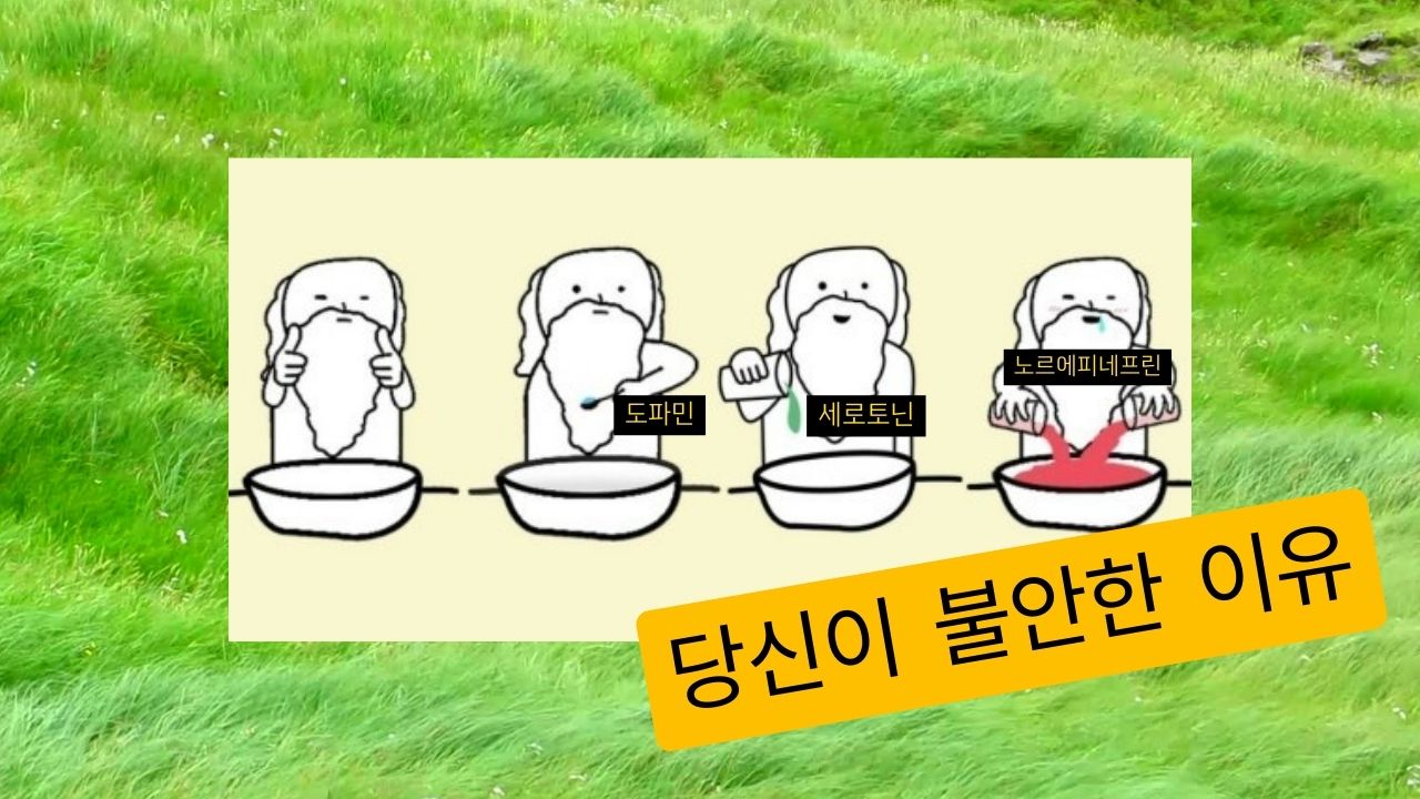 당신이 불안하고 우울한 진짜 이유 | 인스티즈