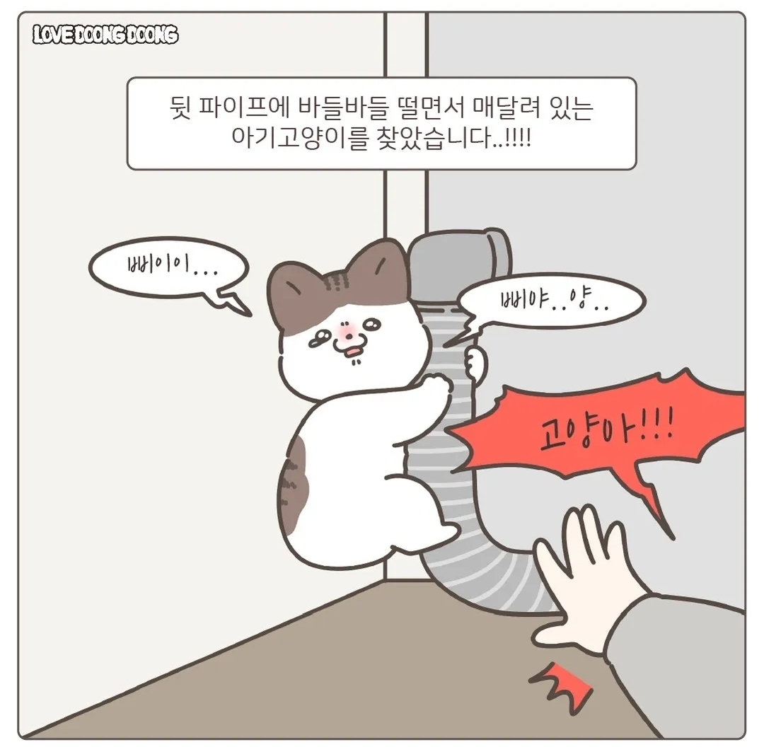주방 싱크대 뒷편 호스에 매달려있다가 구조된 아기 고양이.jpg | 인스티즈