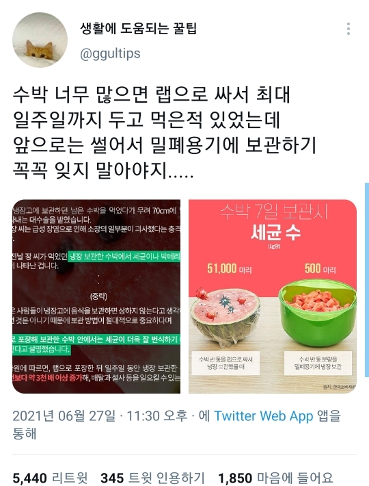 수박먹고 급성장염 걸린적 있다면 봐야할 트윗.twt | 인스티즈