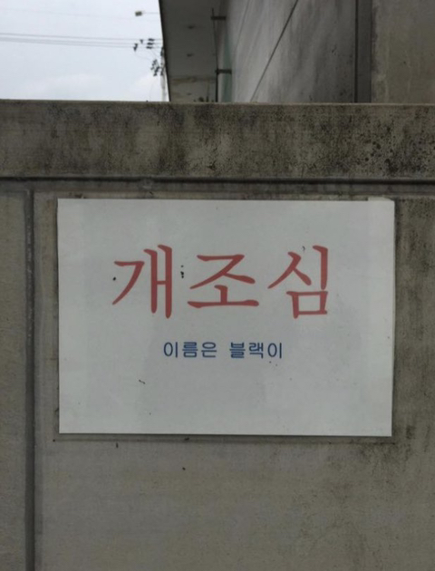 피식짤 모음 | 인스티즈
