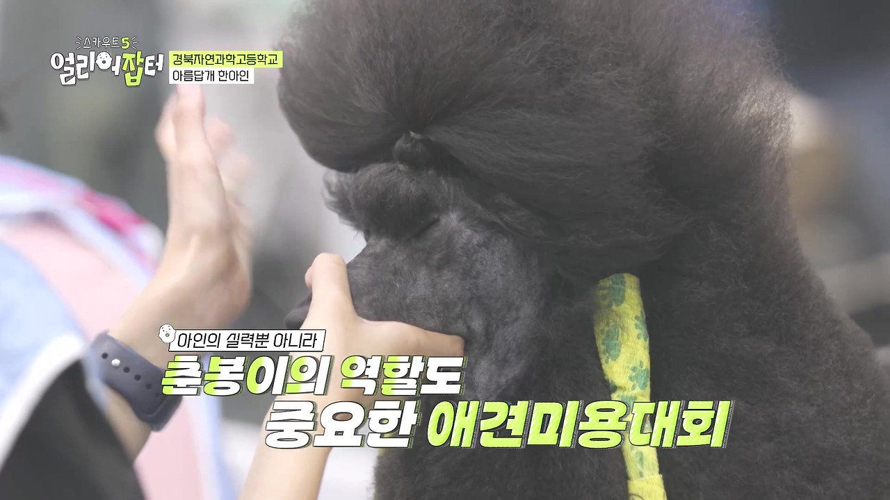 반려동물 키우는 사람들한테 도파민 터지게 만들었다는 한 고등학교 | 인스티즈